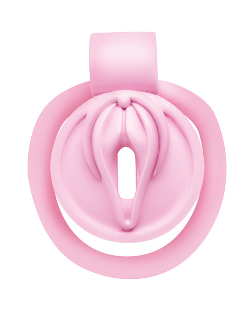 Vulva Locking Chastity Cage