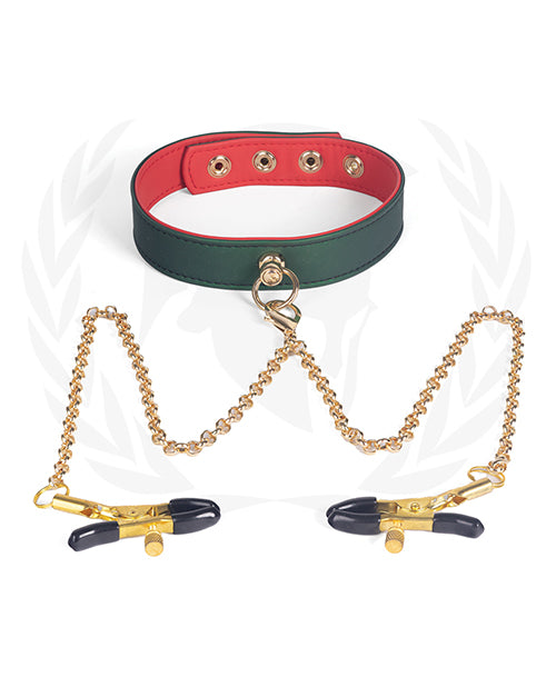 Spartacus Collar w/Nipple Clamps