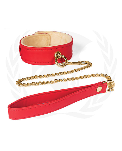 Plush Lined Collar Chained Leash