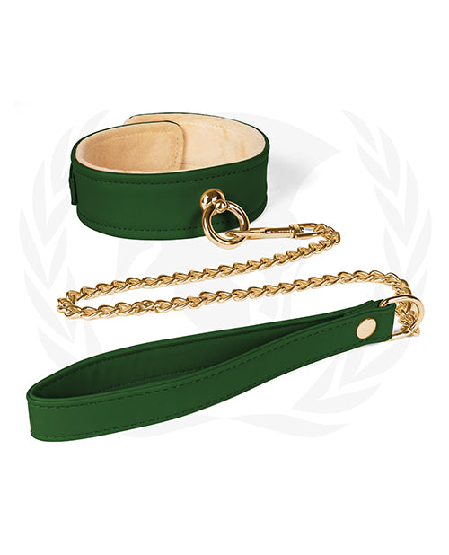 Plush Lined Collar Chained Leash