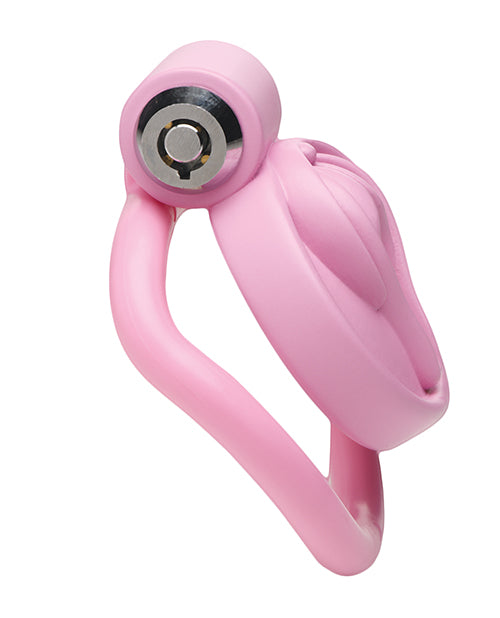Vulva Locking Chastity Cage